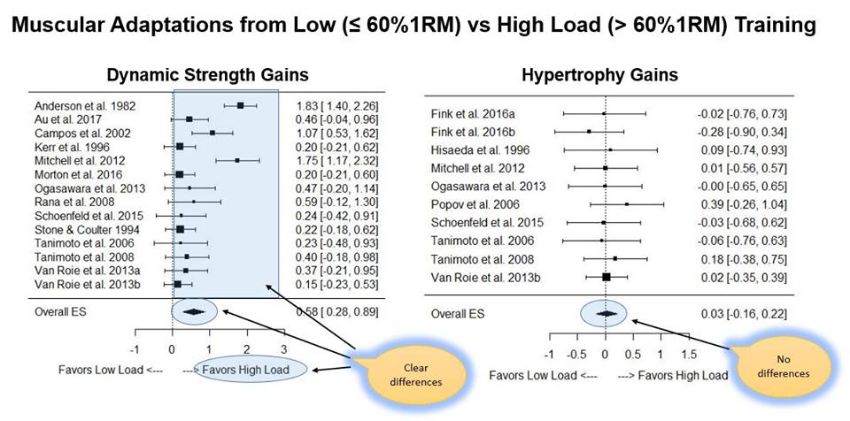Muscular adaptations from low load training